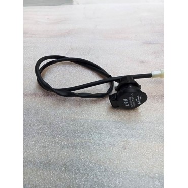 Arora Hector  Usb